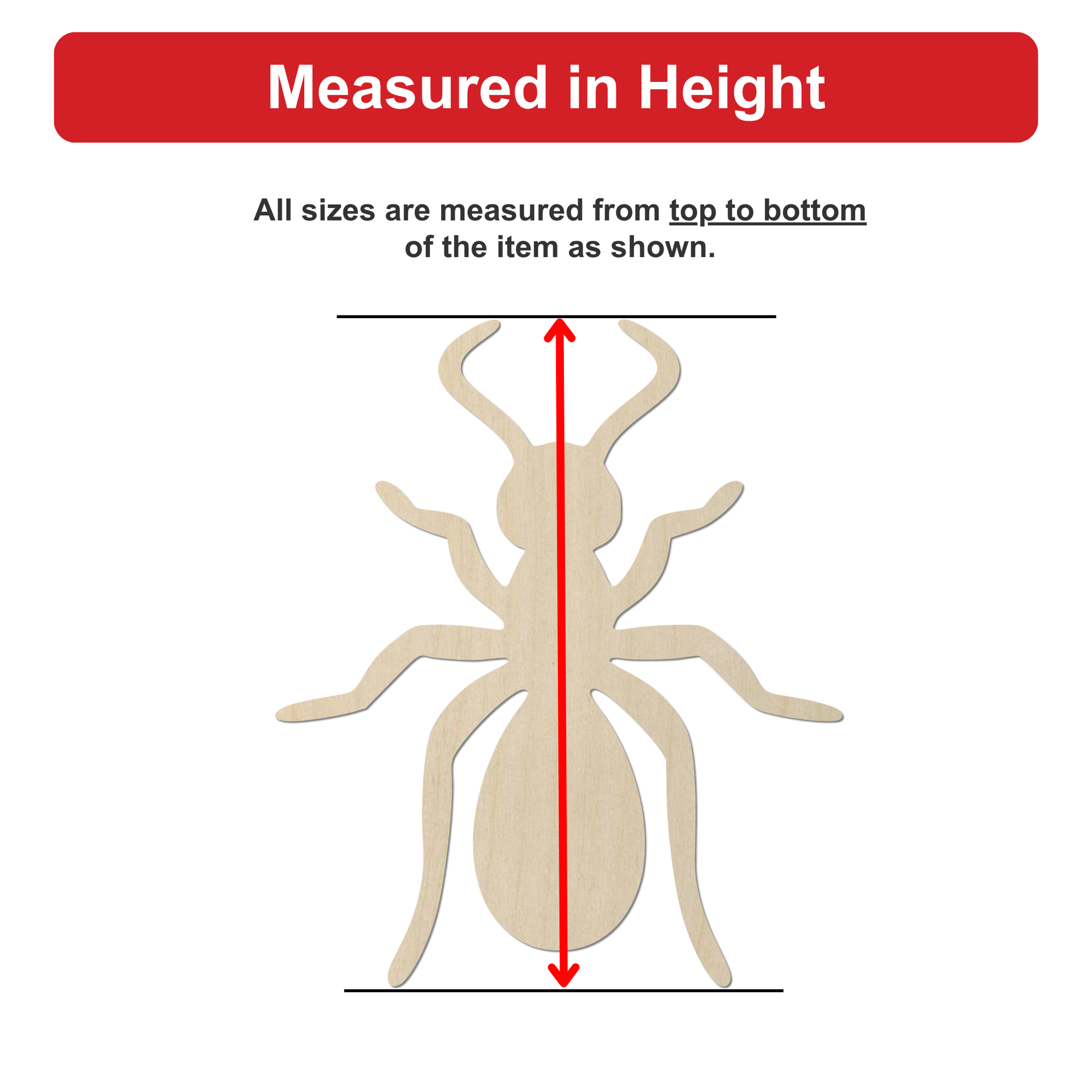 a wooden insect, specifically a spider, with measurements drawn on it.