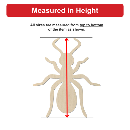 a wooden insect, specifically a spider, with measurements drawn on it.