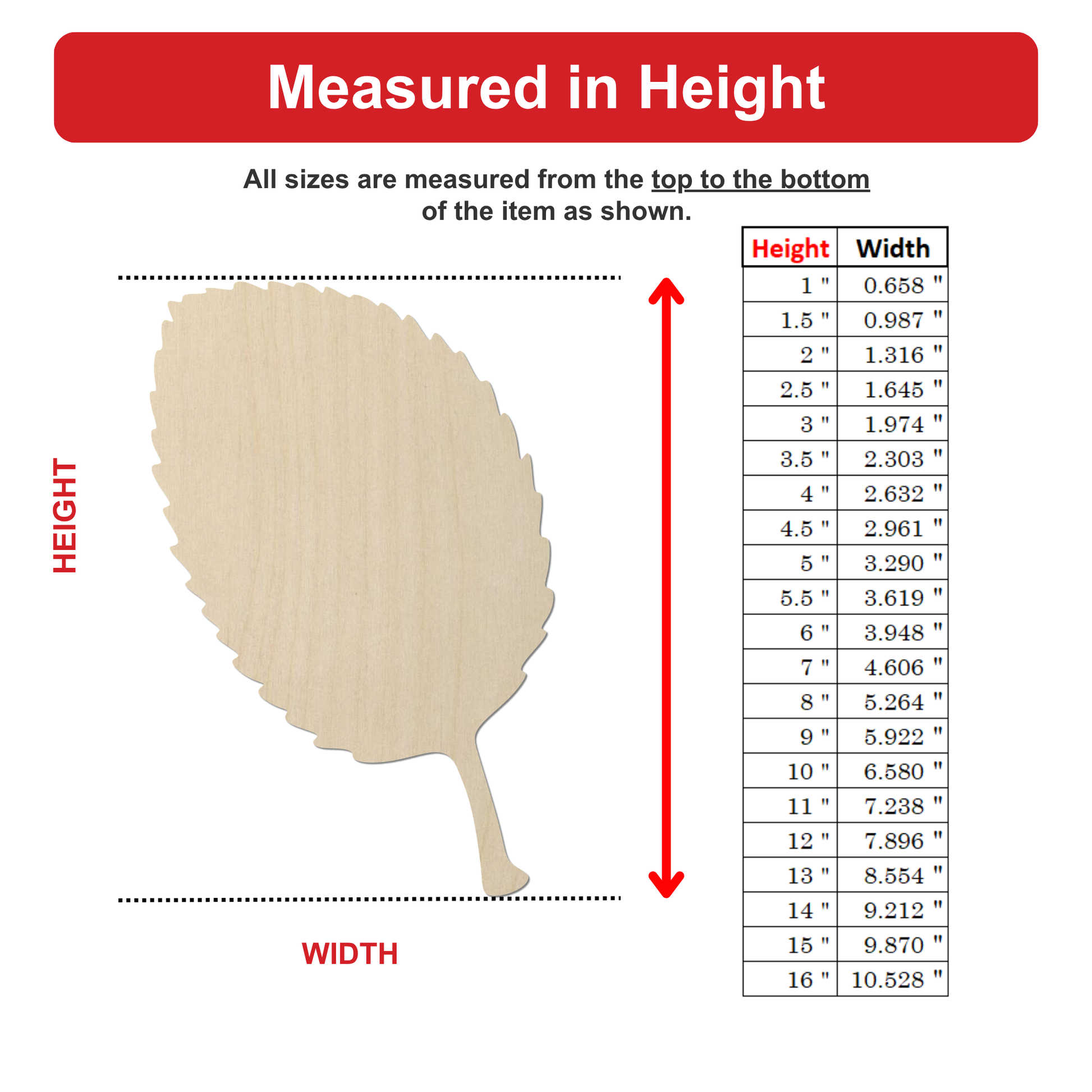 The image is a diagram that shows the relationship between the height and width of an item, with a diagram of a leaf as the main visual element.