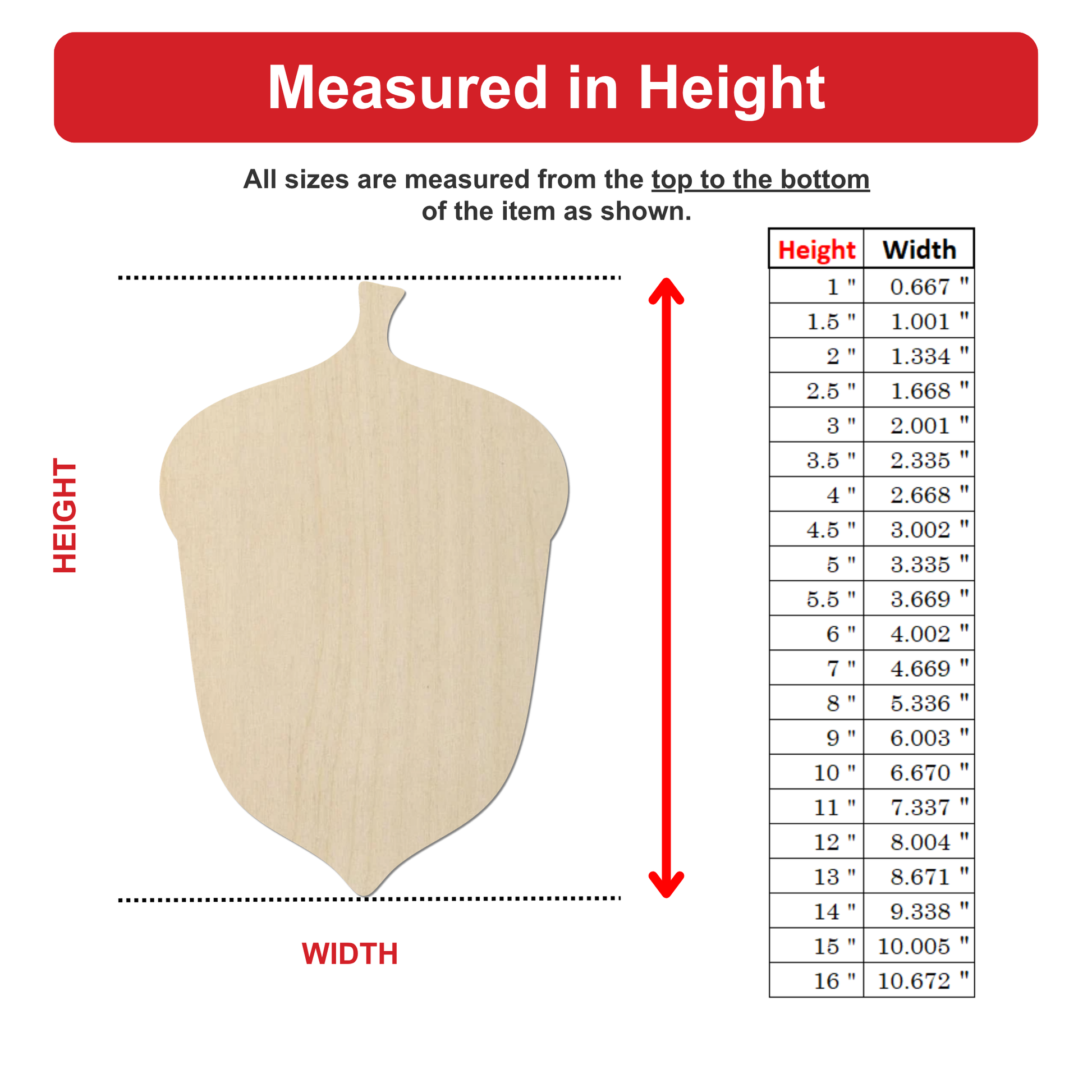 The image is a woodnut acorn with a height and width scale, providing measurements for different sizes of the acorn.