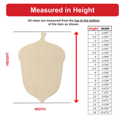 The image is a woodnut acorn with a height and width scale, providing measurements for different sizes of the acorn.