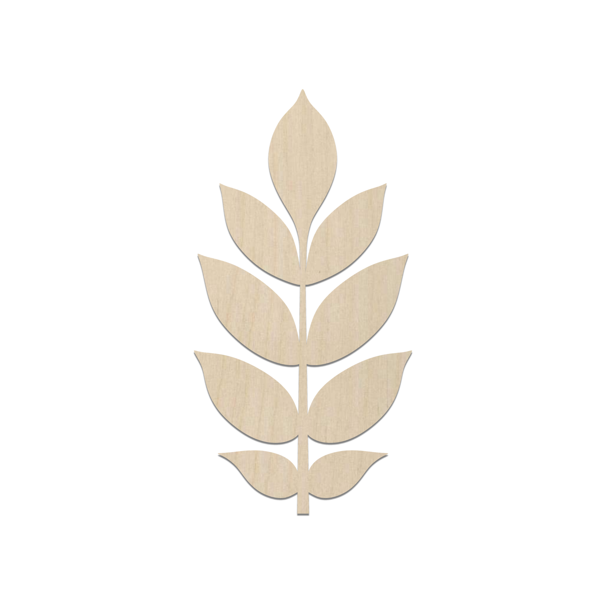 A simple, minimalist wooden leaf design.